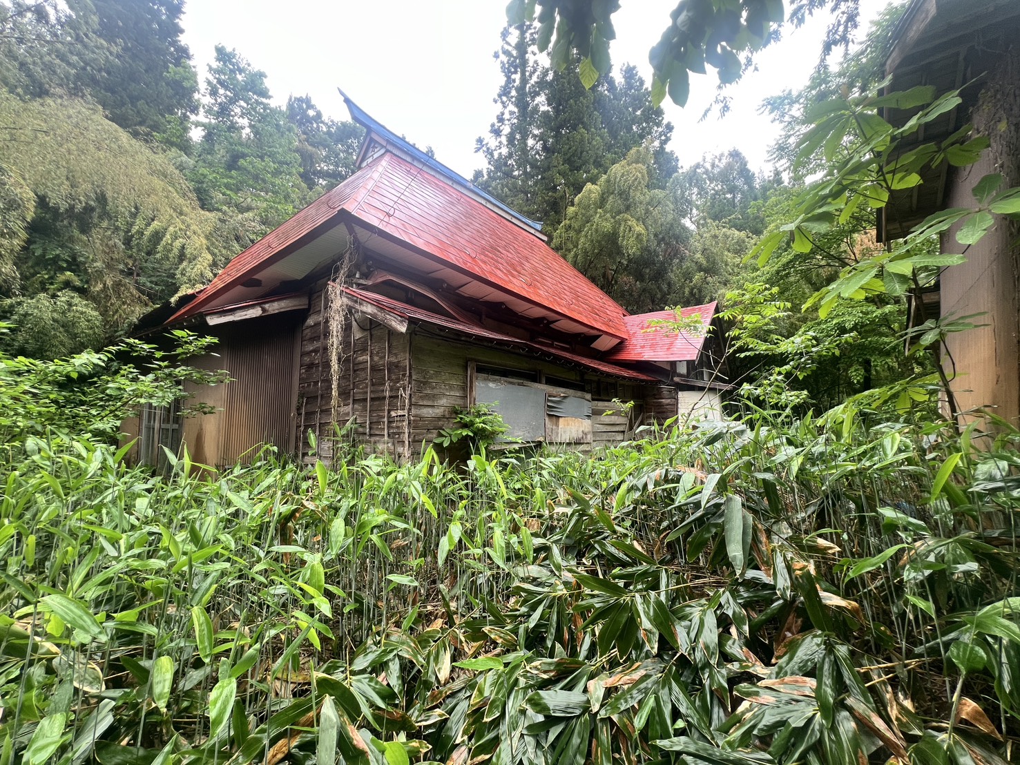 【上越市吉川区吉井】温泉・キャンプ施設近く｜自然を満喫できる里山物件